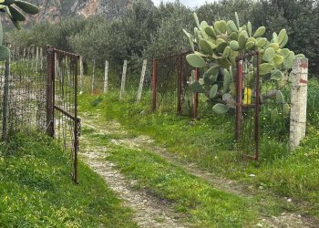 Giardino - Villa contrada Bommarito, San Cipirello - foto 37