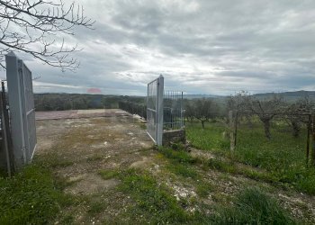 Non correlato - Villa contrada Bommarito, San Cipirello - foto 38