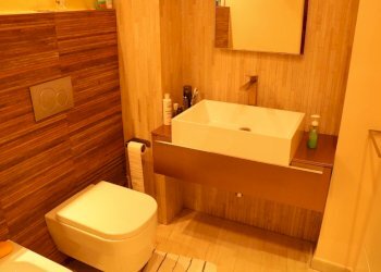 Bagno al piano terreno - Stable - Palace Via della Forra, Lastra a Signa - photo 11