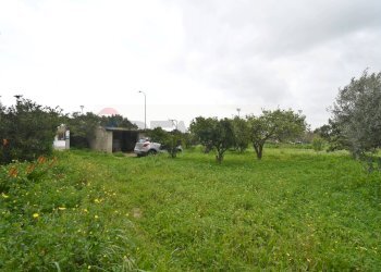 Giardino - Casa indipendente Via Roma
 
74, Vallermosa - foto 34