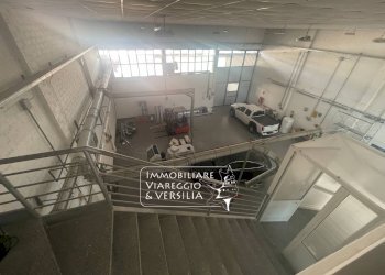 Foto 1 - Magazzino Camaiore - foto 1