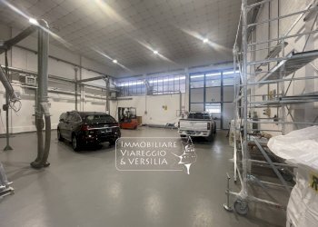 Foto 2 - Magazzino Camaiore - foto 2