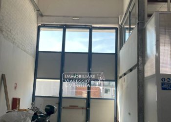 Foto 4 - Magazzino Camaiore - foto 4