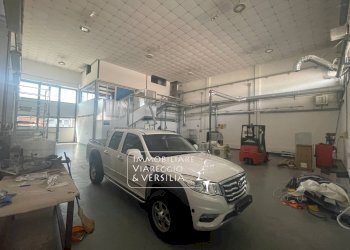 Foto 9 - Magazzino Camaiore - foto 9