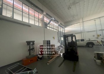 Foto 10 - Magazzino Camaiore - foto 10