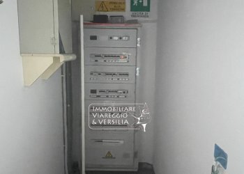 Foto 13 - Magazzino Camaiore - foto 13