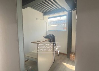 Foto 16 - Magazzino Camaiore - foto 16