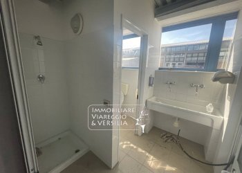 Foto 20 - Magazzino Camaiore - foto 20