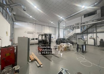 Foto 26 - Magazzino Camaiore - foto 26