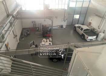 Foto 27 - Magazzino Camaiore - foto 27