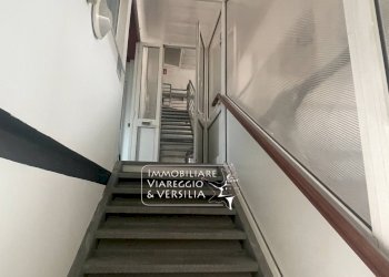 Foto 28 - Magazzino Camaiore - foto 28