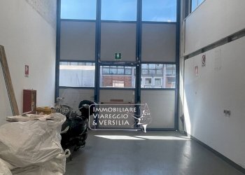 Foto 31 - Magazzino Camaiore - foto 31