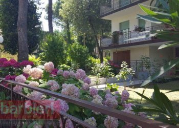 Foto 2 - Bilocale traversa vii pineta
 
2, Cervia - foto 2