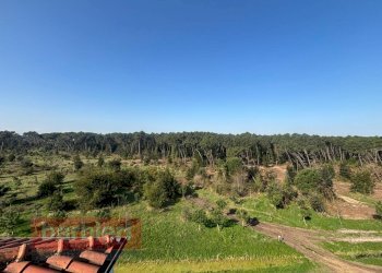 Foto 16 - Bilocale traversa vii pineta
 
2, Cervia - foto 16