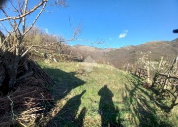 Casa indipendente Via Perlezzi, Borzonasca - foto 20