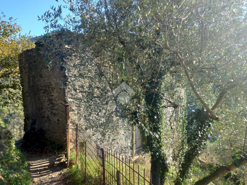 Rustico Via Mezzanego, Mezzanego - foto 3