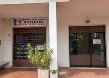 d32b24b5-12b3-4a03-9a8c-7b048610933c.jpg - Commercial Premises via San Francesco d' Assisi 3, Lanciano - photo 2