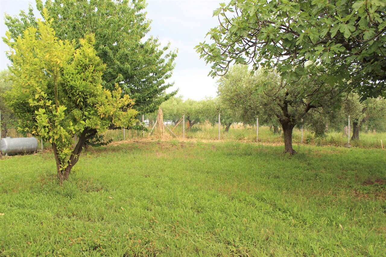 giardino - Villa Contrada Torre Sansone 69, Lanciano - photo 2