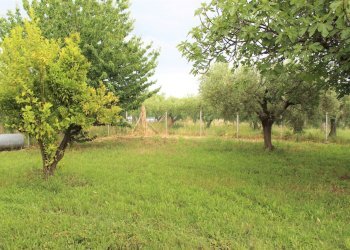 giardino - Villa Contrada Torre Sansone 69, Lanciano - photo 2