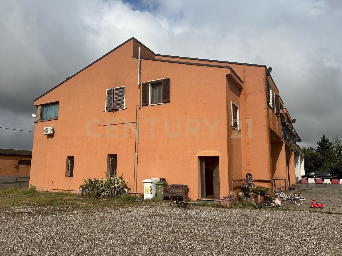 IMG_5666.JPG - Appartamento Strada Ostigliese 190, Roncoferraro - foto 1