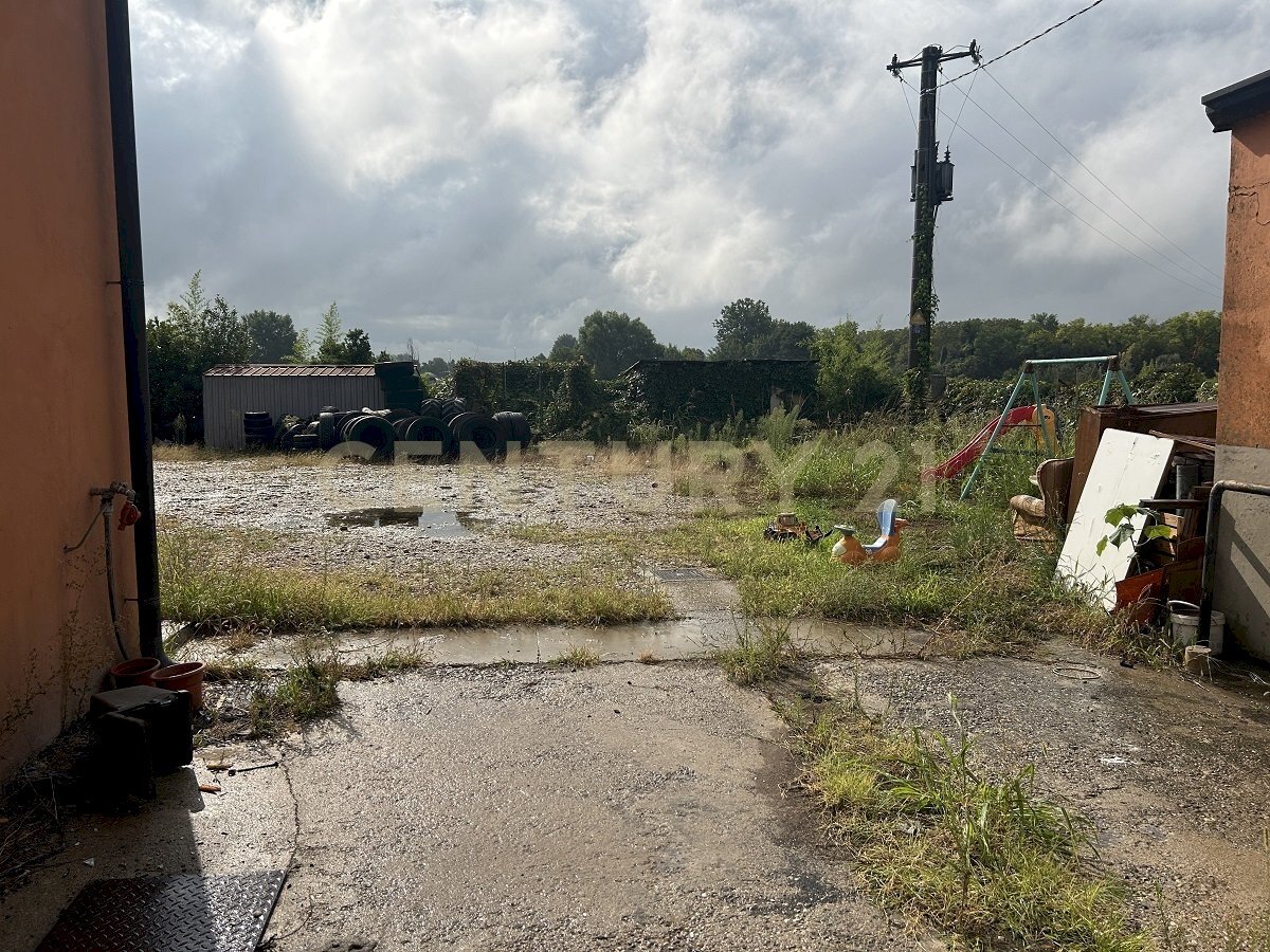 IMG_5635.JPG - Appartamento Strada Ostigliese 190, Roncoferraro - foto 3