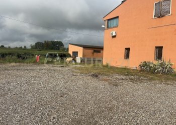 IMG_5667.JPG - Appartamento Strada Ostigliese 190, Roncoferraro - foto 2