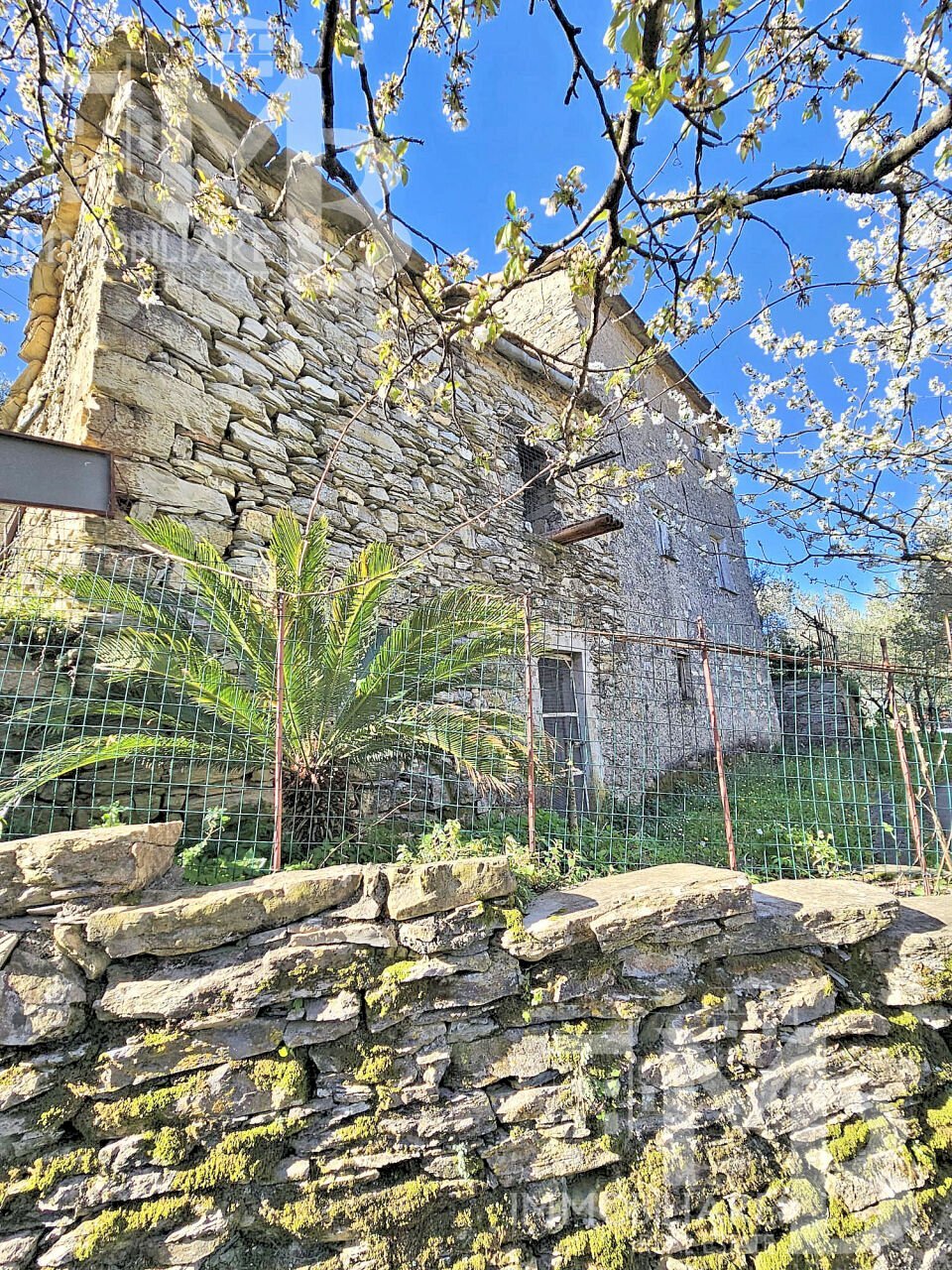 PROSPETTO.jpg - Magazzino Frazione Capreno, Sori - foto 1