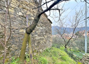 LATO NORD EST.jpg - Magazzino Frazione Capreno, Sori - foto 9