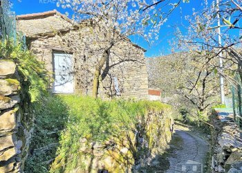 PROSPETTO EST.jpg - Magazzino Frazione Capreno, Sori - foto 4