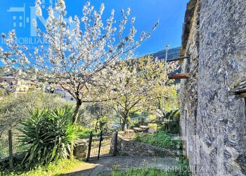 CORTE.jpg - Magazzino Frazione Capreno, Sori - foto 5