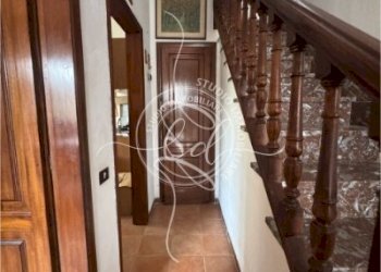 IMG_5331 3.JPG - Terratetto - Terracielo Camaiore - foto 9