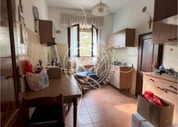 IMG_5335 3.JPG - Terratetto - Terracielo Camaiore - foto 10