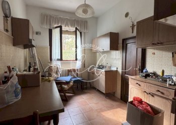 IMG_5336 2.JPG - Terratetto - Terracielo Camaiore - foto 11