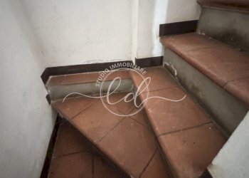 IMG_5340 3.JPG - Terratetto - Terracielo Camaiore - foto 15