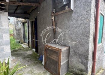 IMG_5346 3.JPG - Terratetto - Terracielo Camaiore - foto 20