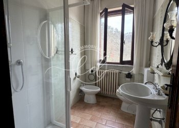 IMG_5353 2.JPG - Terratetto - Terracielo Camaiore - foto 27