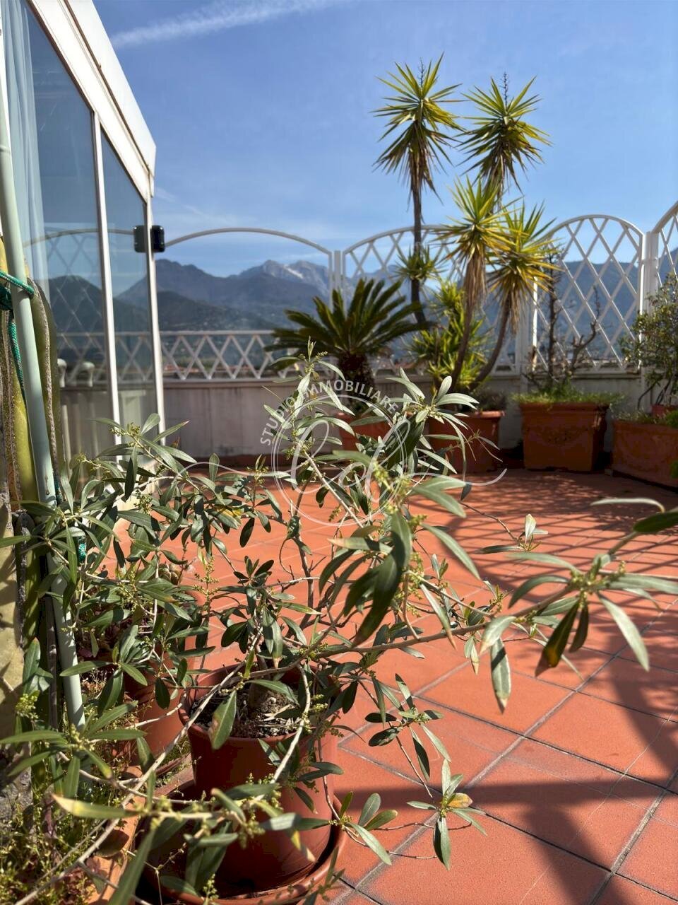 PHOTO-2026-03-12-13-14-44 4.jpg - Attico Seravezza - foto 3