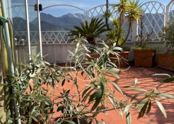 PHOTO-2026-03-12-13-14-44 4.jpg - Attico Seravezza - foto 3