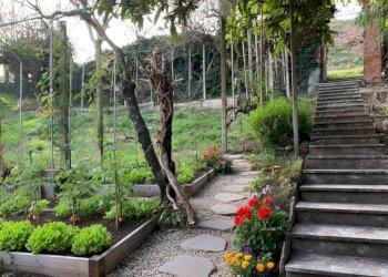 006.jpg - Rustic Via della Pittura 1, Cherasco - photo 7