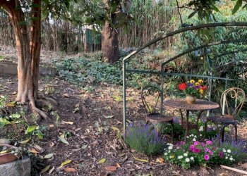 007.jpg - Rustic Via della Pittura 1, Cherasco - photo 8