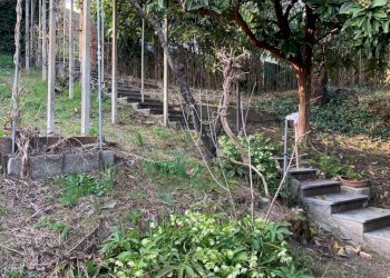 WhatsApp Image 2026-03-05 at 09.18.18 (2).jpeg - Rustic Via della Pittura 1, Cherasco - photo 14