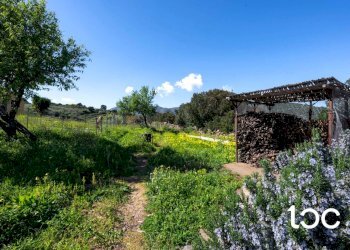 Villa San Teodoro - foto 30
