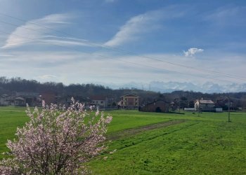 Villa a Schiera Volpiano - foto 11