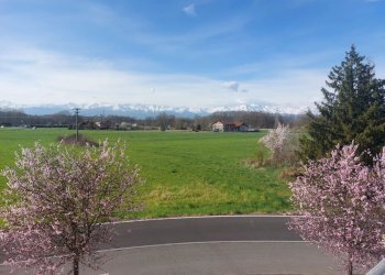 Villa a Schiera Volpiano - foto 12