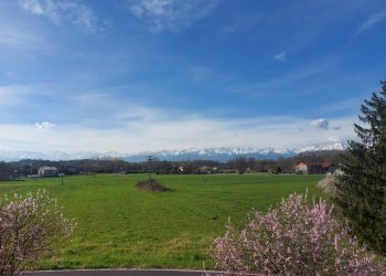 Villa a Schiera Volpiano - foto 31