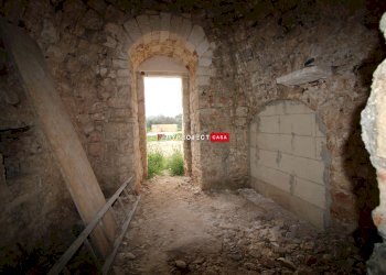 Trullo Contrada Galluzzo, Ceglie Messapica - photo 8