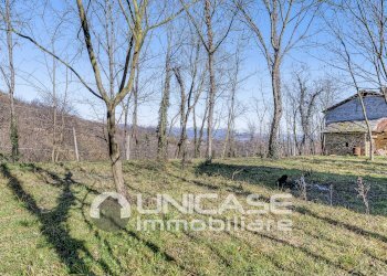 Giardino - Casa indipendente Via Crosa, Bagnolo Piemonte - foto 7