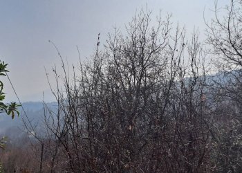 Casale Via Olmetto, 212, Bagnolo Piemonte - foto 18