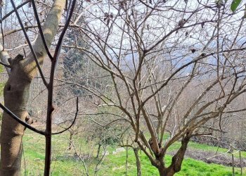 Casale Via Olmetto, 212, Bagnolo Piemonte - foto 19