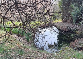 Casale Via Olmetto, 212, Bagnolo Piemonte - foto 20